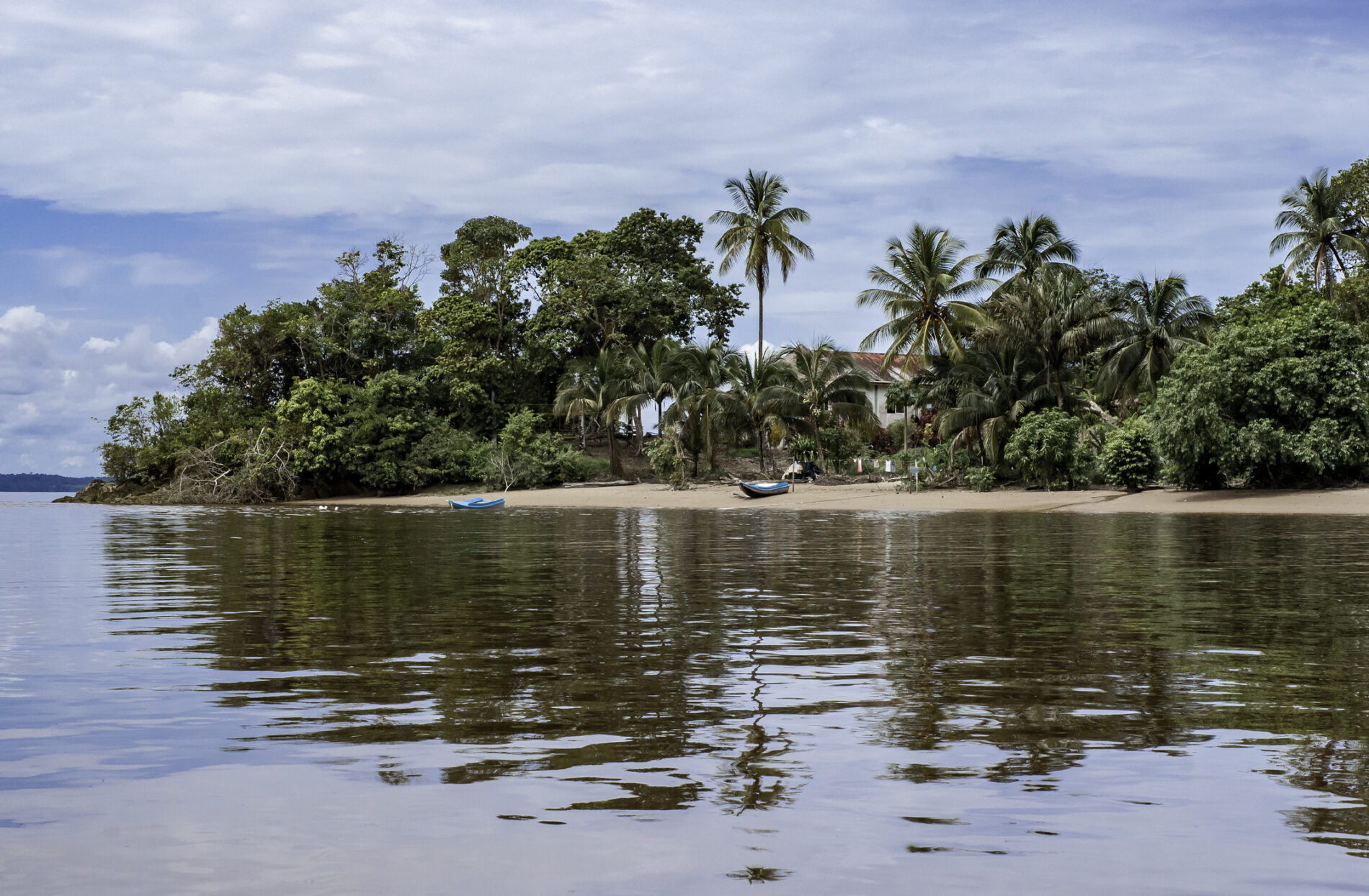 Scenic view of palm trees by lake against sky, Georgetown, Guyana