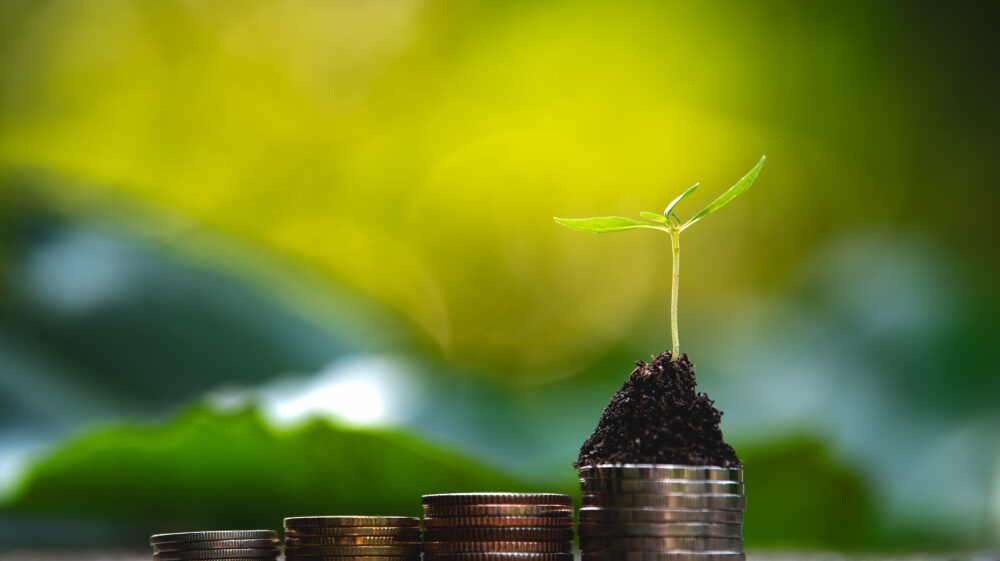 Tree growing on coins, money growing, business success concept, Thailand. cbam
