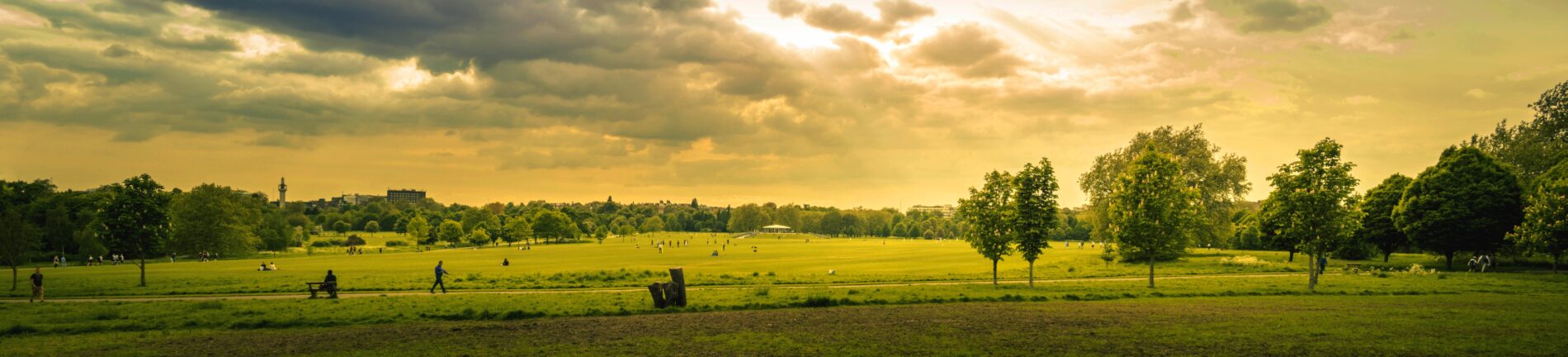 Green grass field during sunset in Greater London, UK