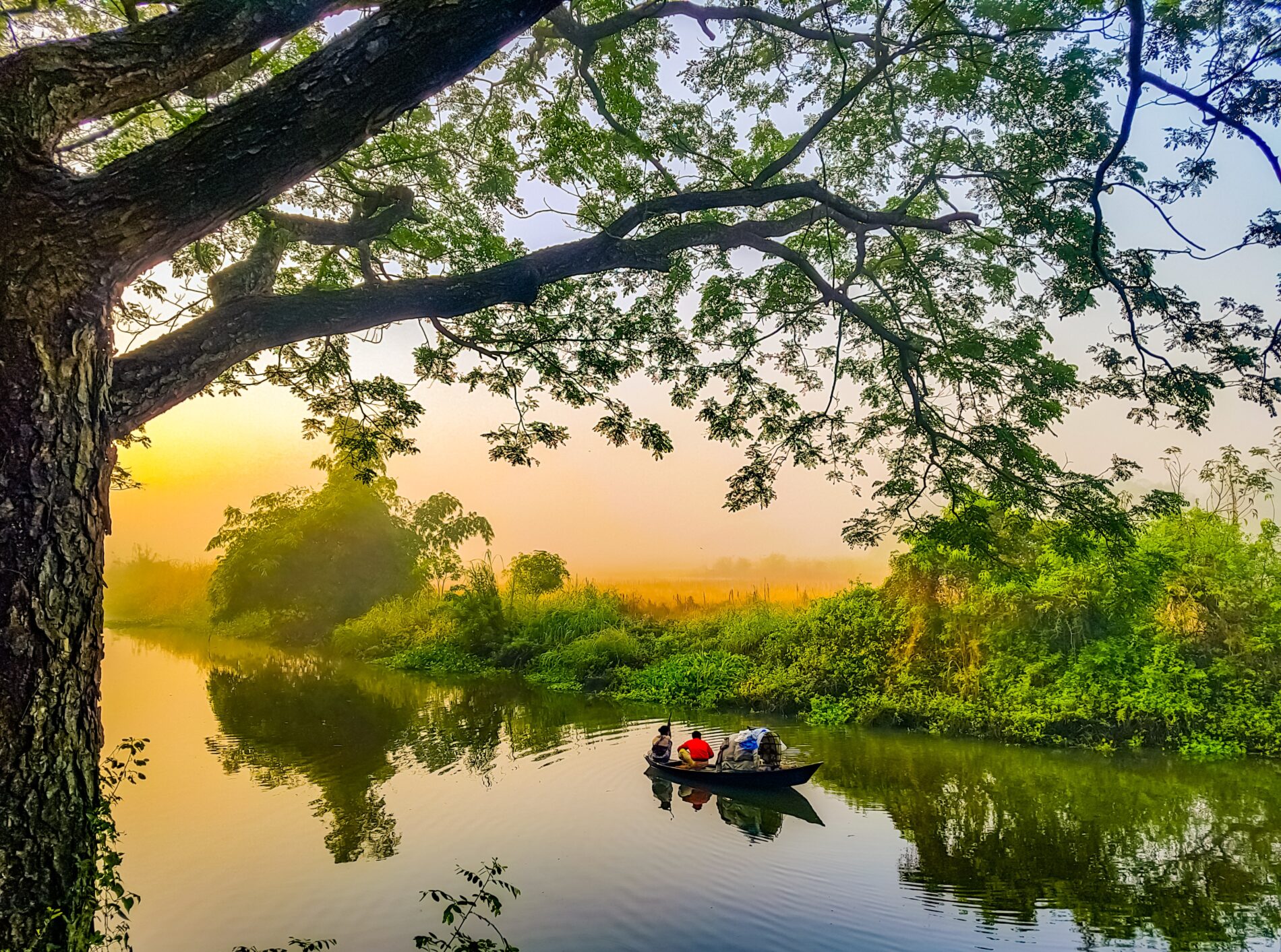 Couple on rowboat on lake reflecting sky behind trees in front of more trees at sunrise, Gazaria, Bangladesh