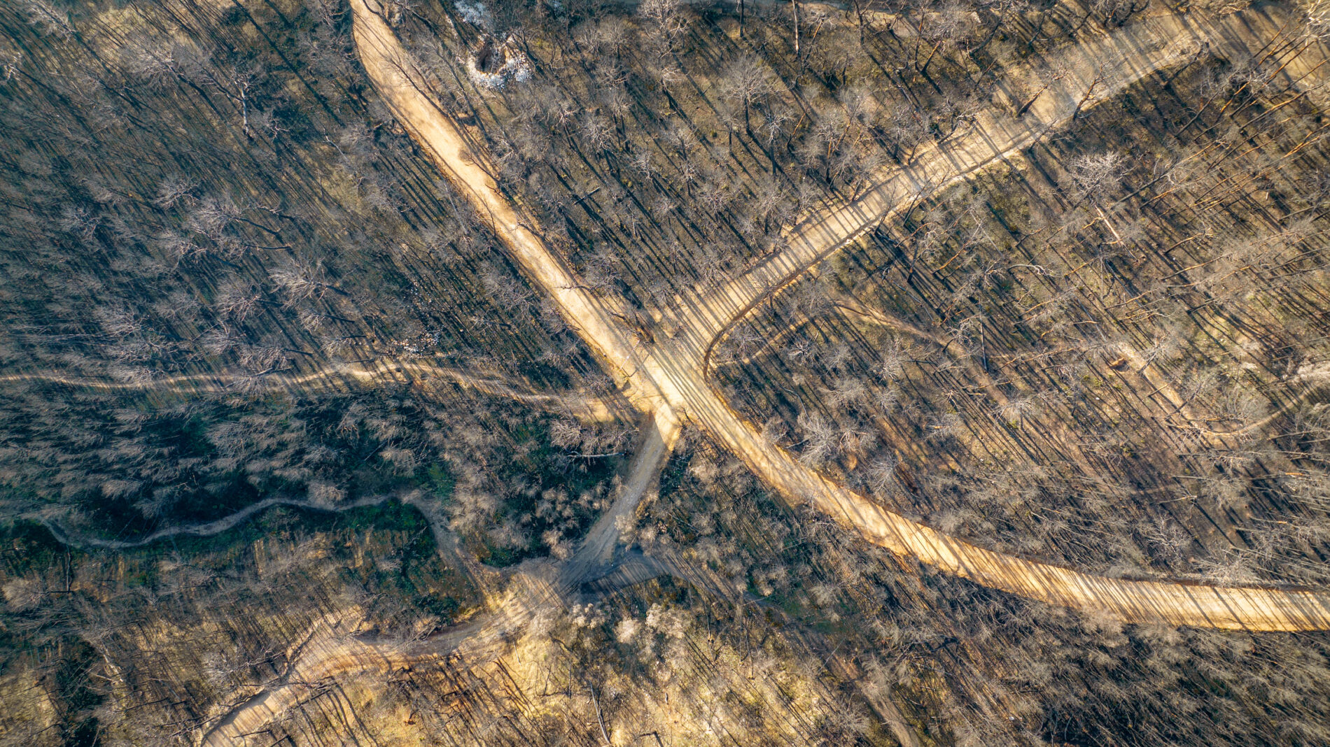 Aerial view of crossroads in burned forest in Tatoi, Attica, near Athens, Greece. In the summer of 2020, wildfires raged all over Greece and this area was one of the most affected.