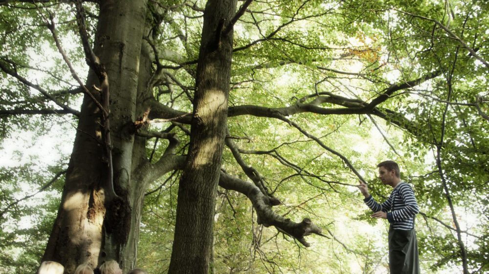 A group of children 3-6 years sit and hear a story under a tree at forest kindergarten, Hillerod, Sjaelland, Denmark