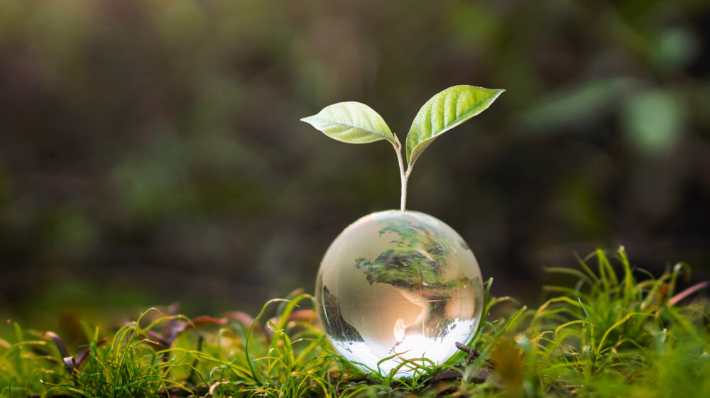Glass globe ball on green grass with two tree leaves growing out of it