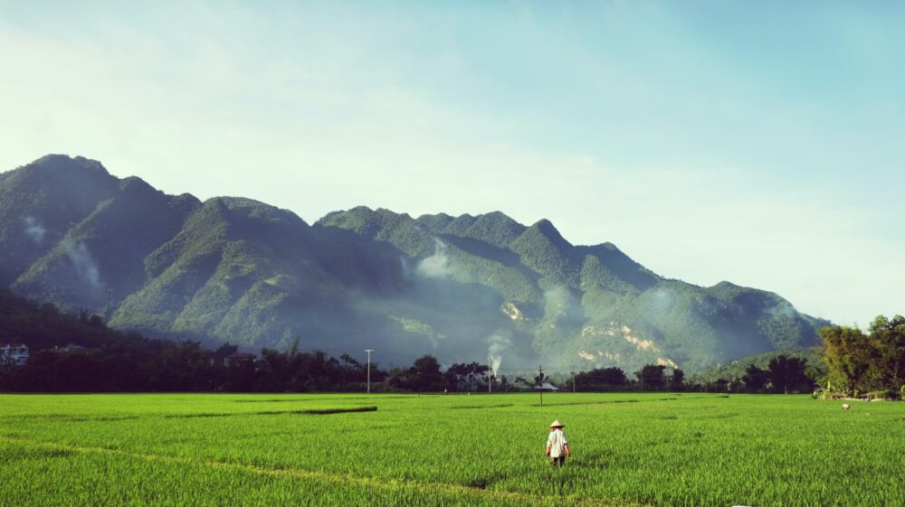Farmer in pointed hat on green field with mountains and controlled burning in background, Viet Nam