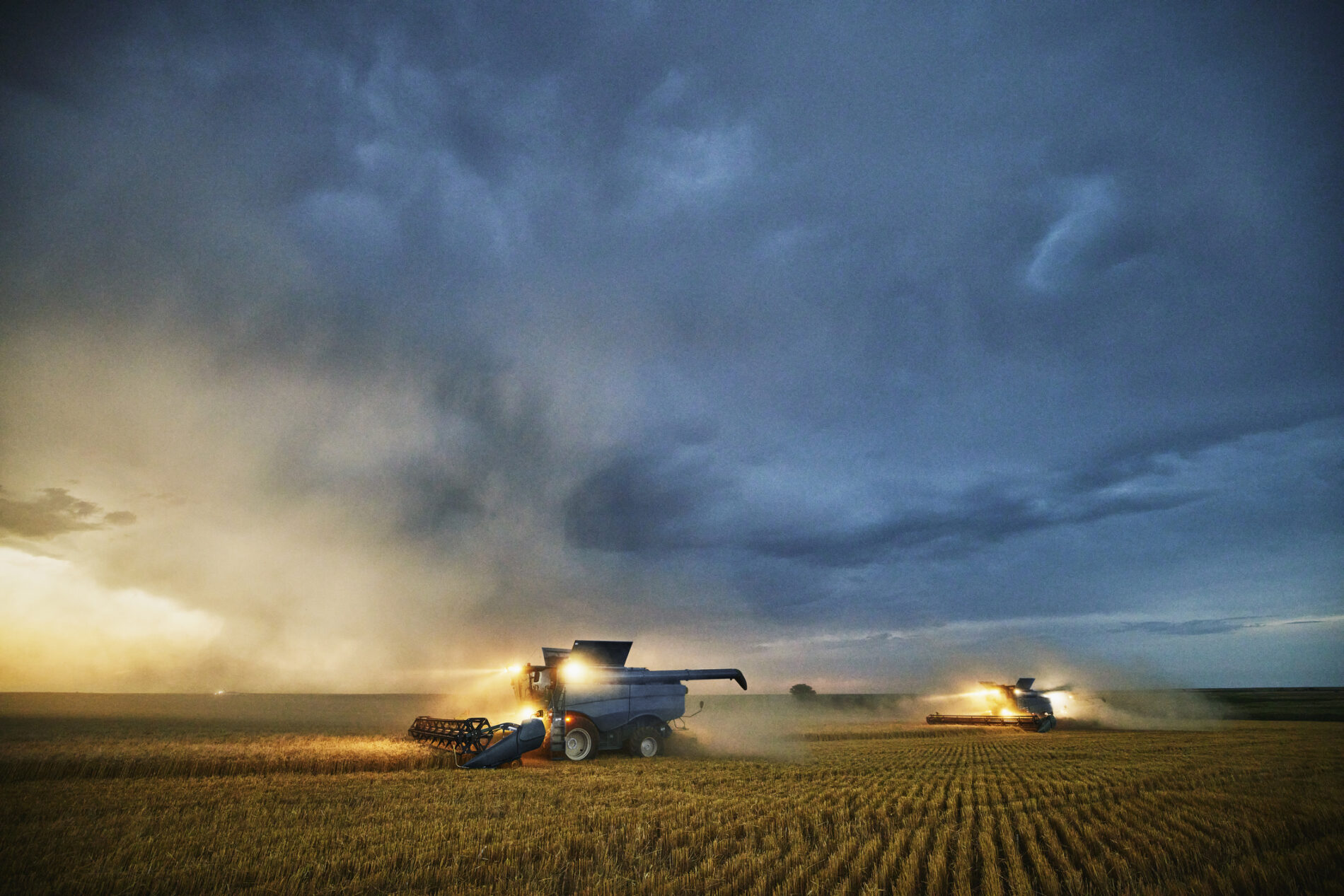 Combines harvesting wheat in the summer with storm clouds, Colorado, US