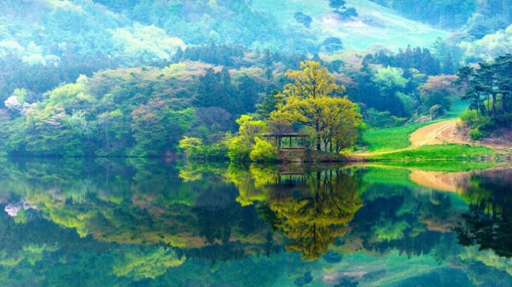 Trees reflected in lake next to mountain, South Korea