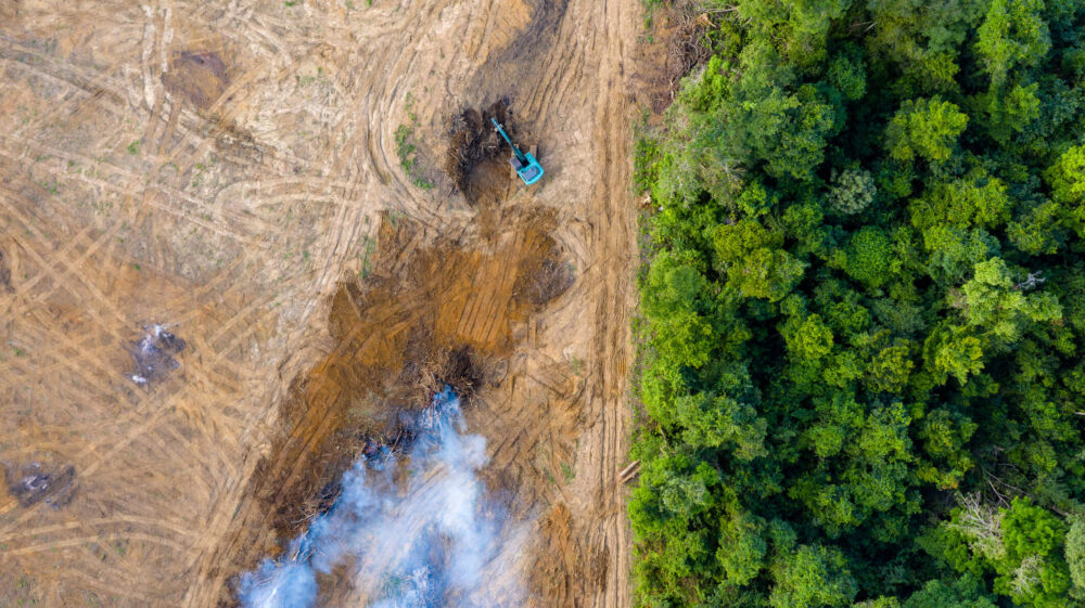 Aerial view of deforestation. Rainforest being removed to make way for palm oil and rubber plantations