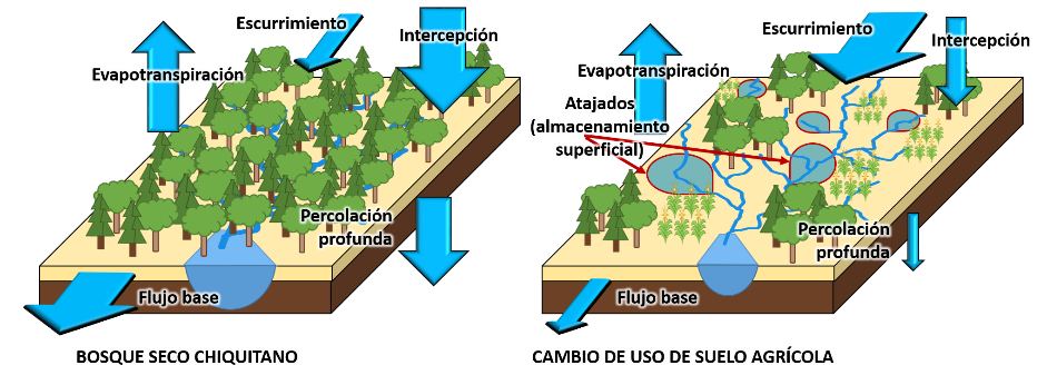 Representaciones gráficas que muestran cómo la deforestación altera la hidrología natural de un ecosistema