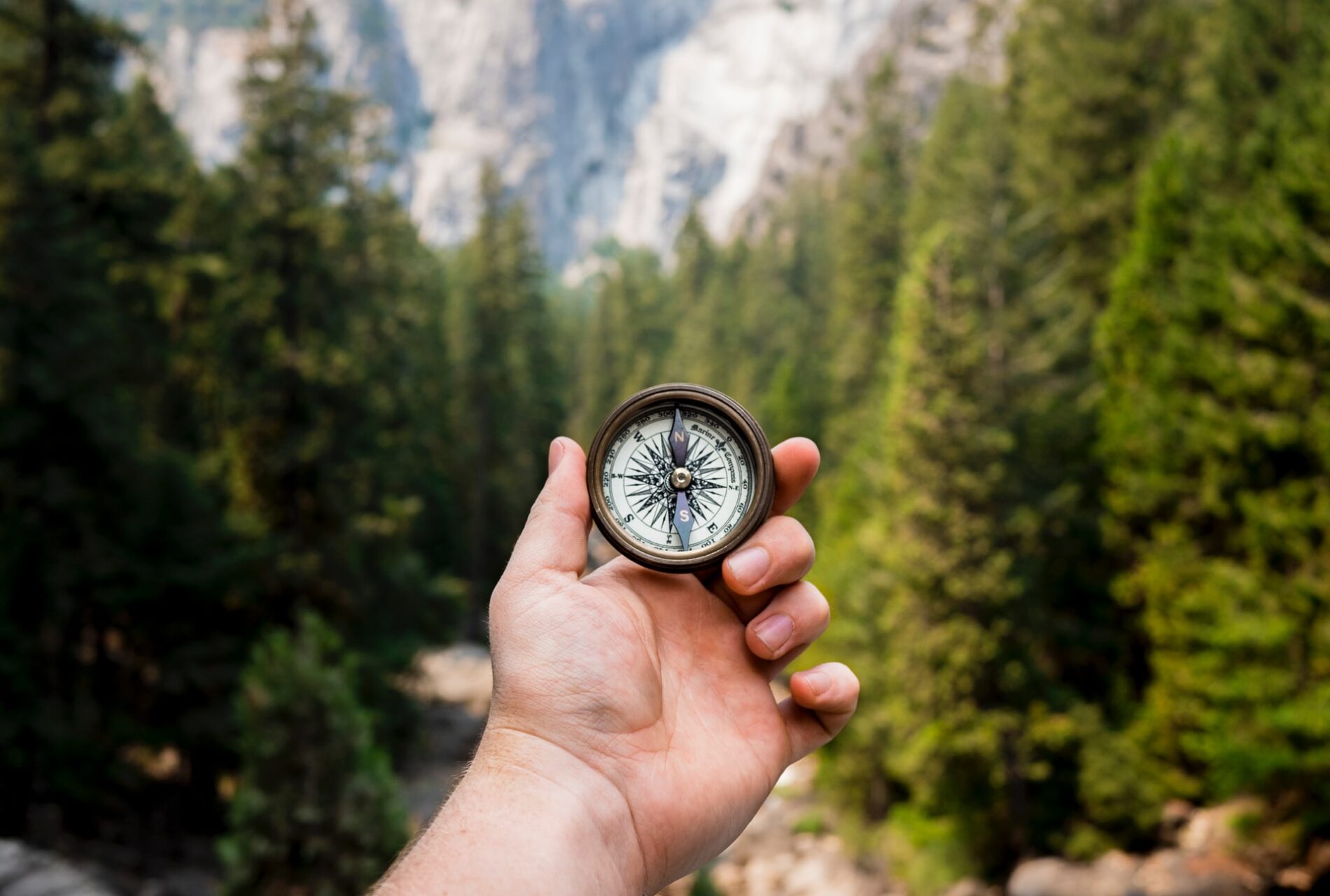 Outstretched hand holding compass, trees in background, Yosemite National Park, California, US