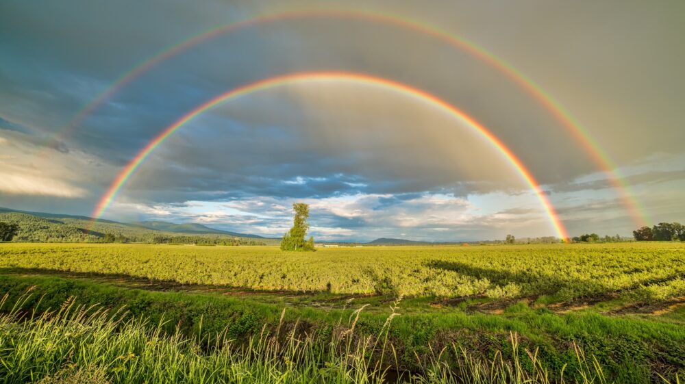 Crop field under rainbow and cloudy skies at daytime, Pitt Meadows, BC, Canada