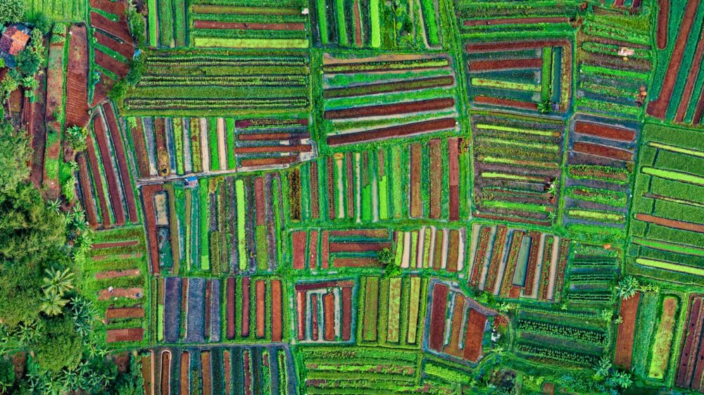 Drone shot of cropland / Tom Fisk