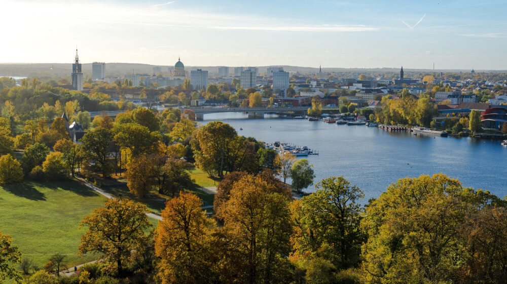Aerial view of park with green trees next to river with bridge and cityscape in background