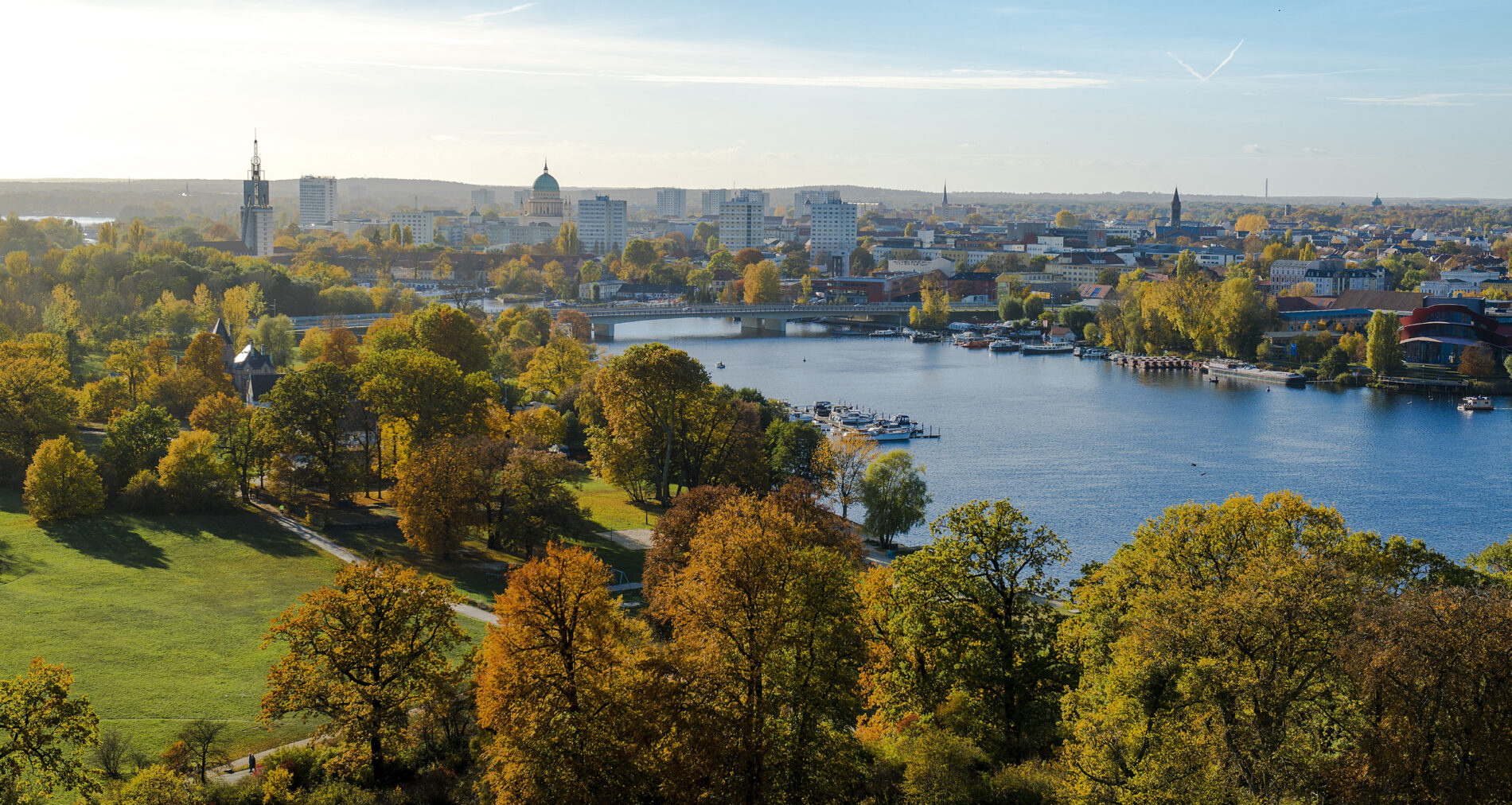 Aerial view of park with green trees next to river with bridge and cityscape in background