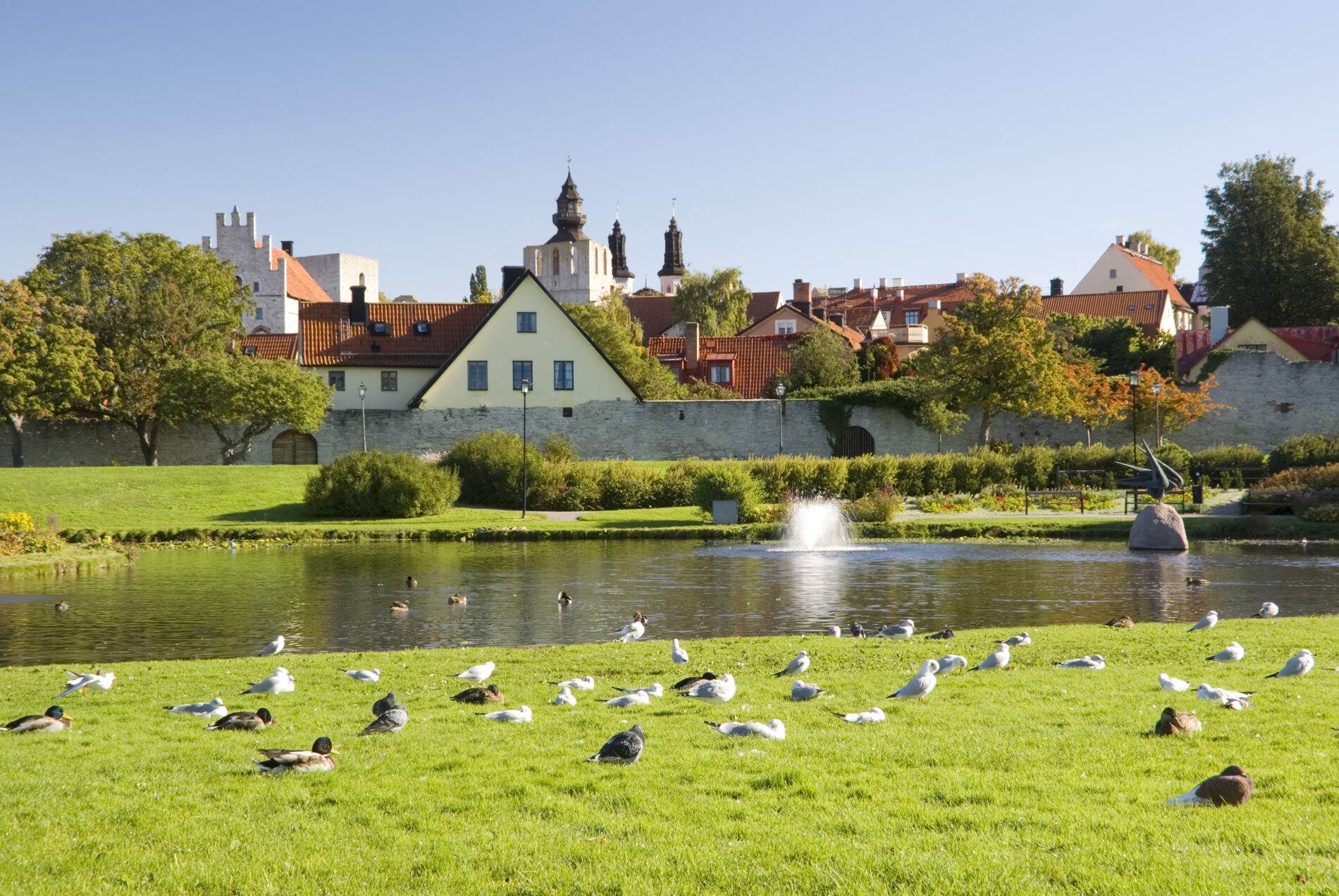 Almedalen and the cathedral of Visby in background, Gotland, Sweden