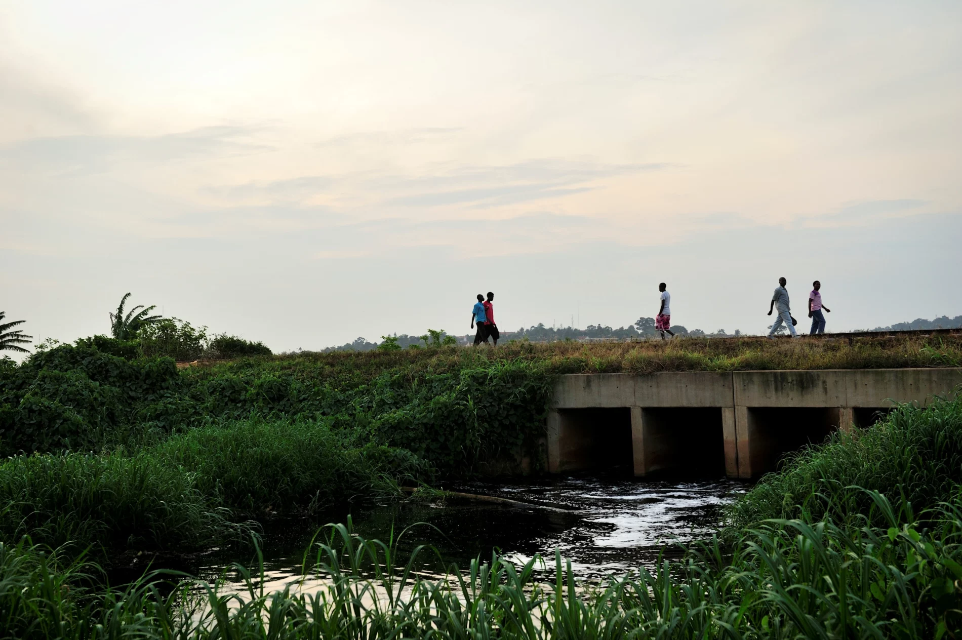 Africans walking on a bridge crossing a wastewater channel in a swamp in Kampala, Uganda