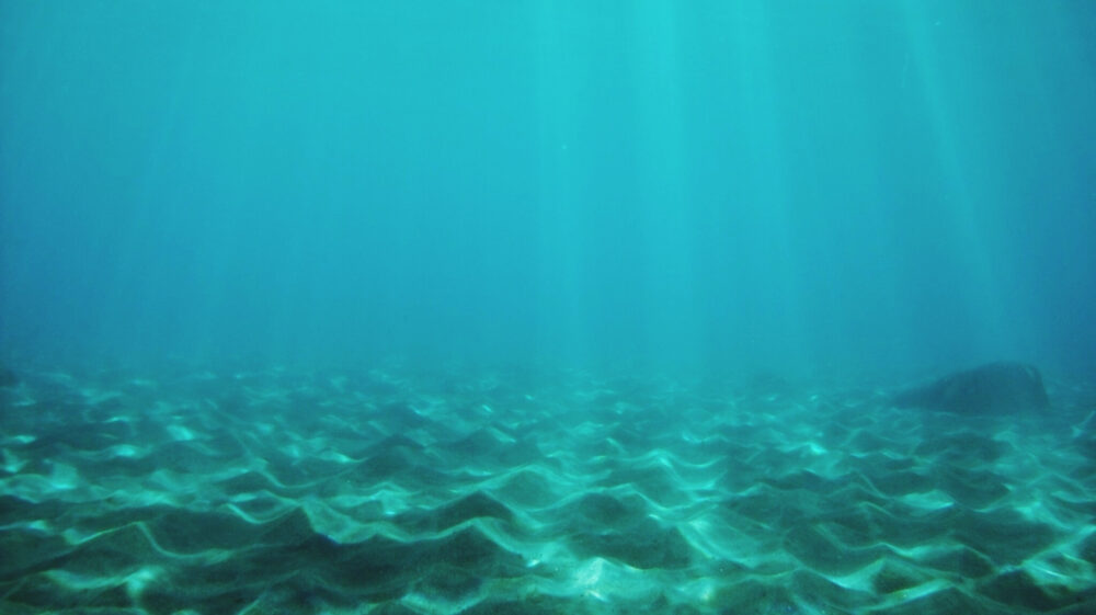 Underwater View Of Sunbeams