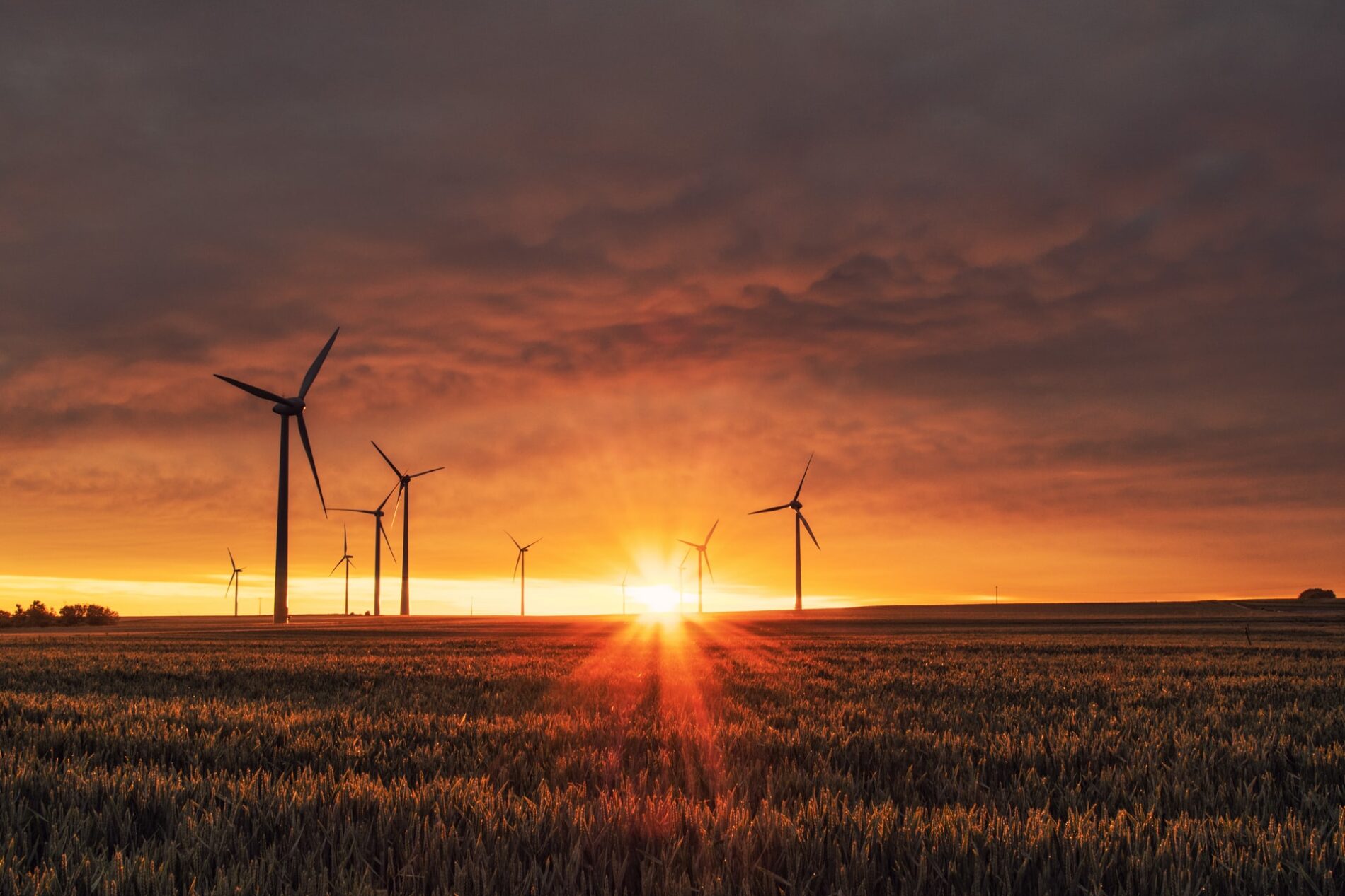 Windmills on grass field