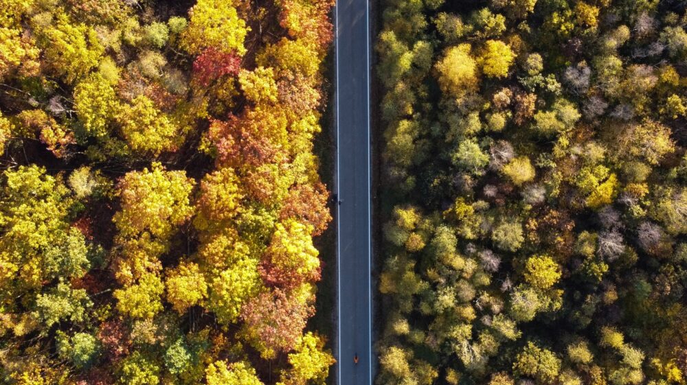 Picture taken from above of road through forest