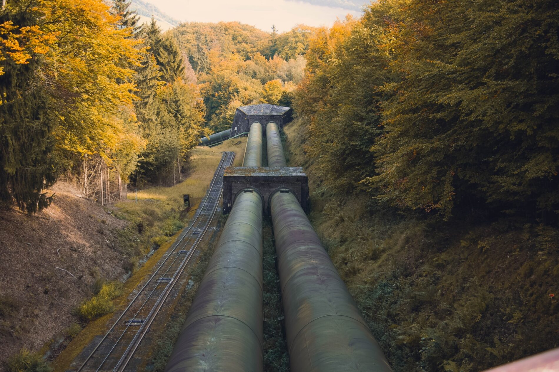 Metal gas pipeline through forest