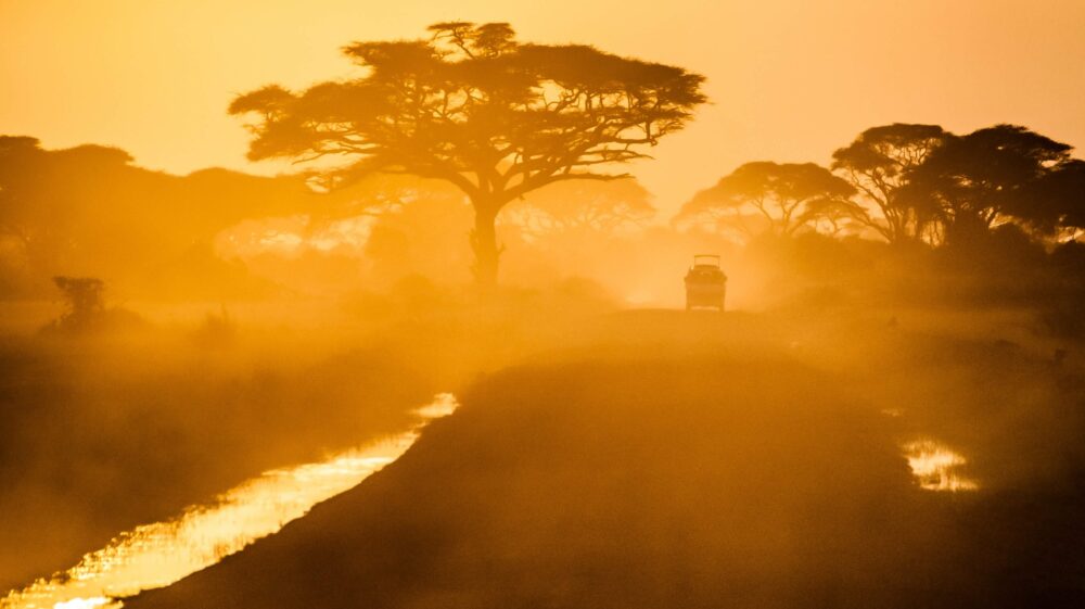 Car driving through national park in Kenya