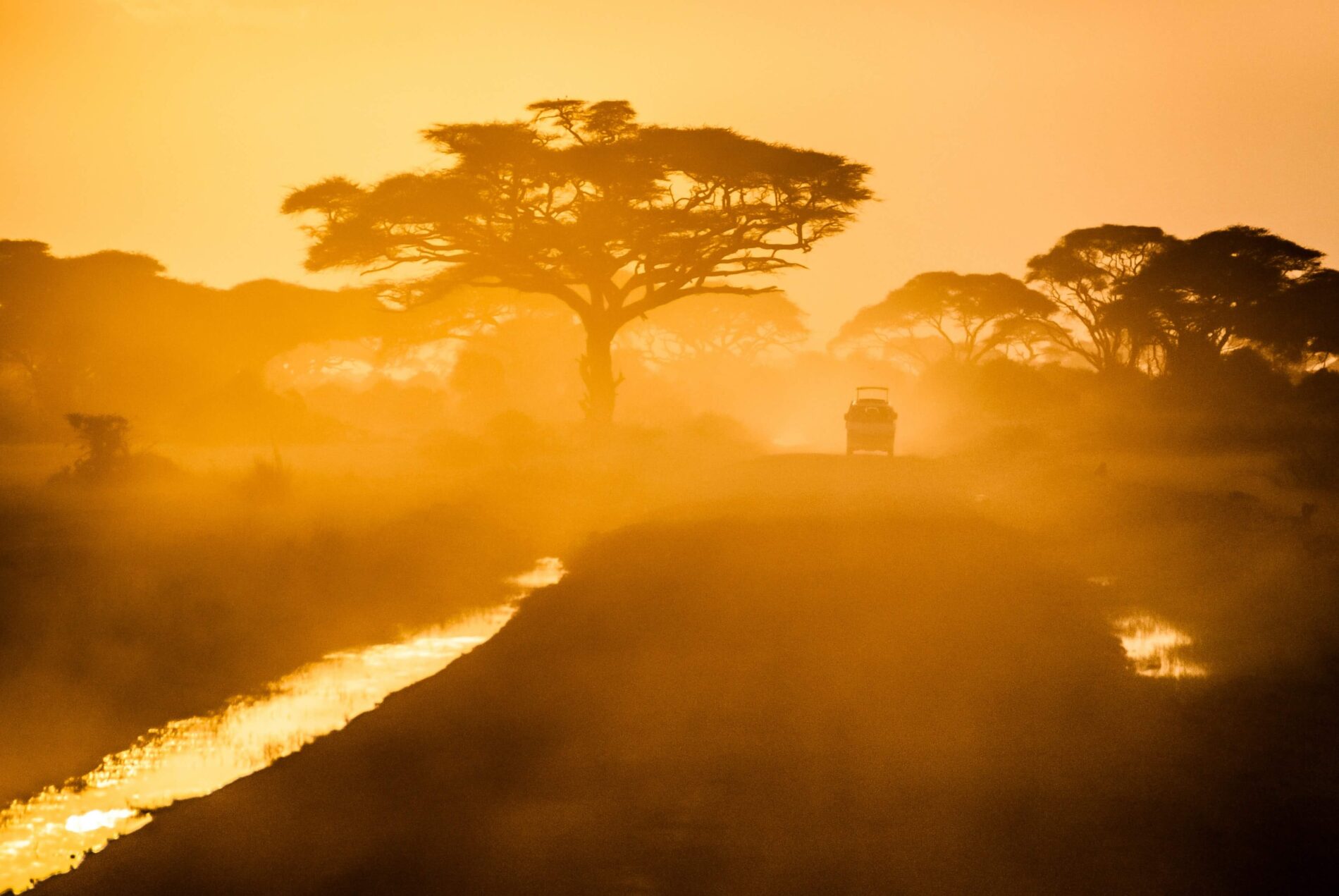 Car driving through national park in Kenya