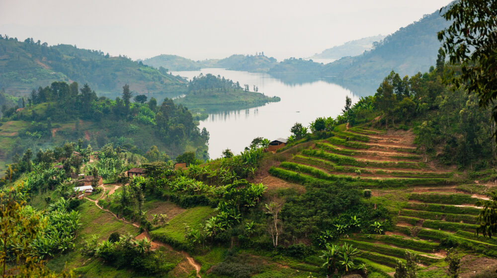Farmland on a steep forested slope overlooks Lake Kivu, Rwanda beneath an overcast sky