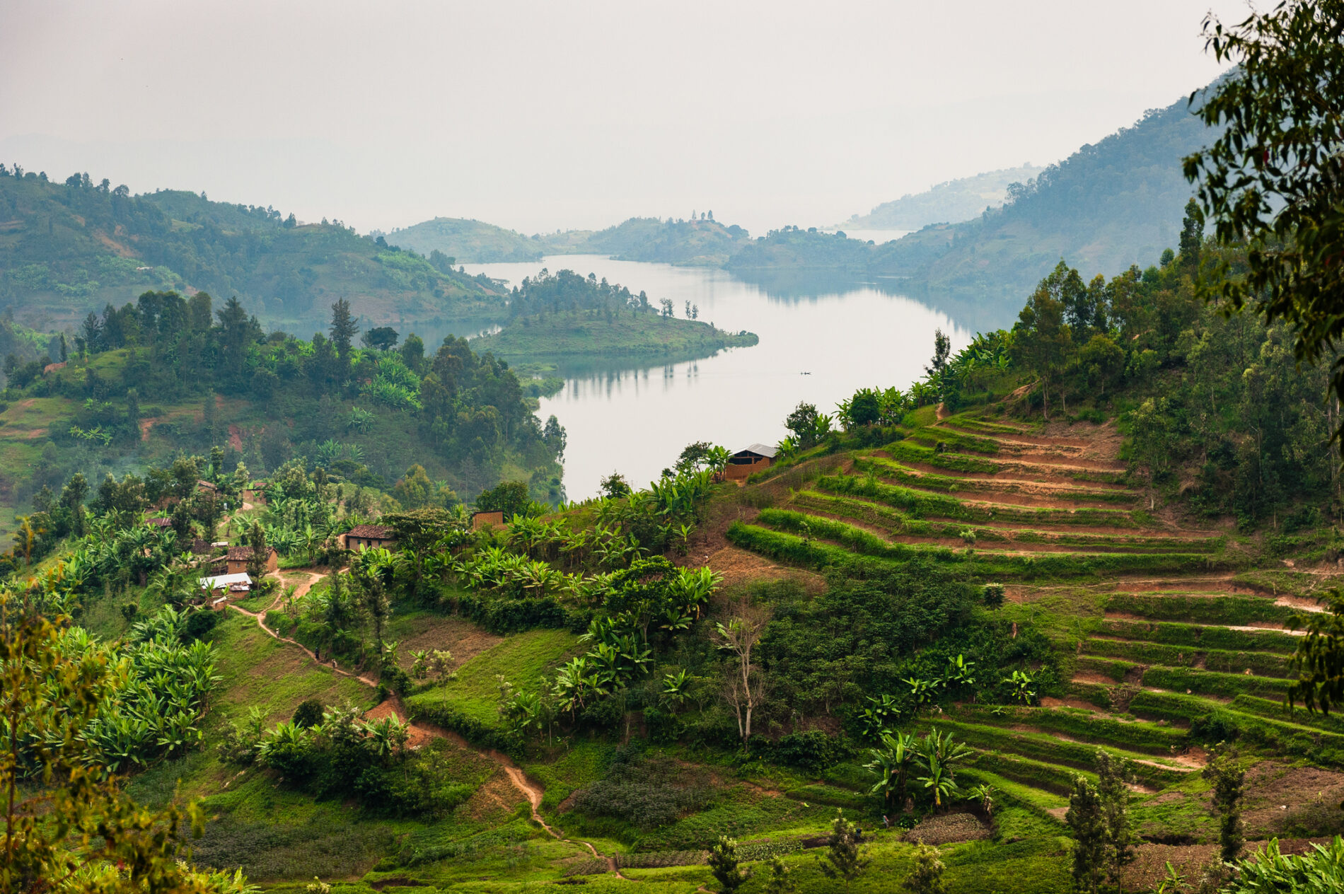 Farmland on a steep forested slope overlooks Lake Kivu, Rwanda beneath an overcast sky