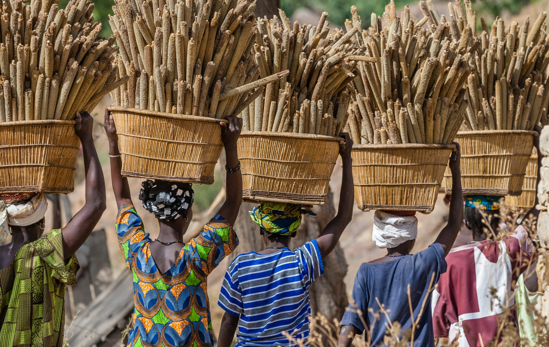 Women carrying millet to their village in Mali