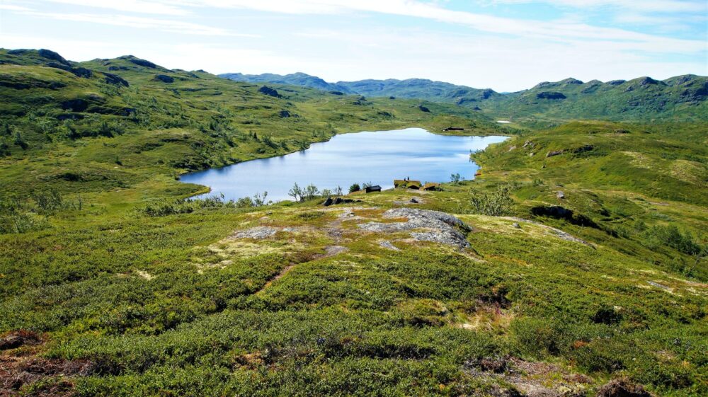 Green Grass Field Near Lake, Norge