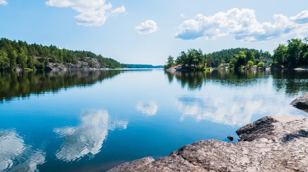 Lake forest