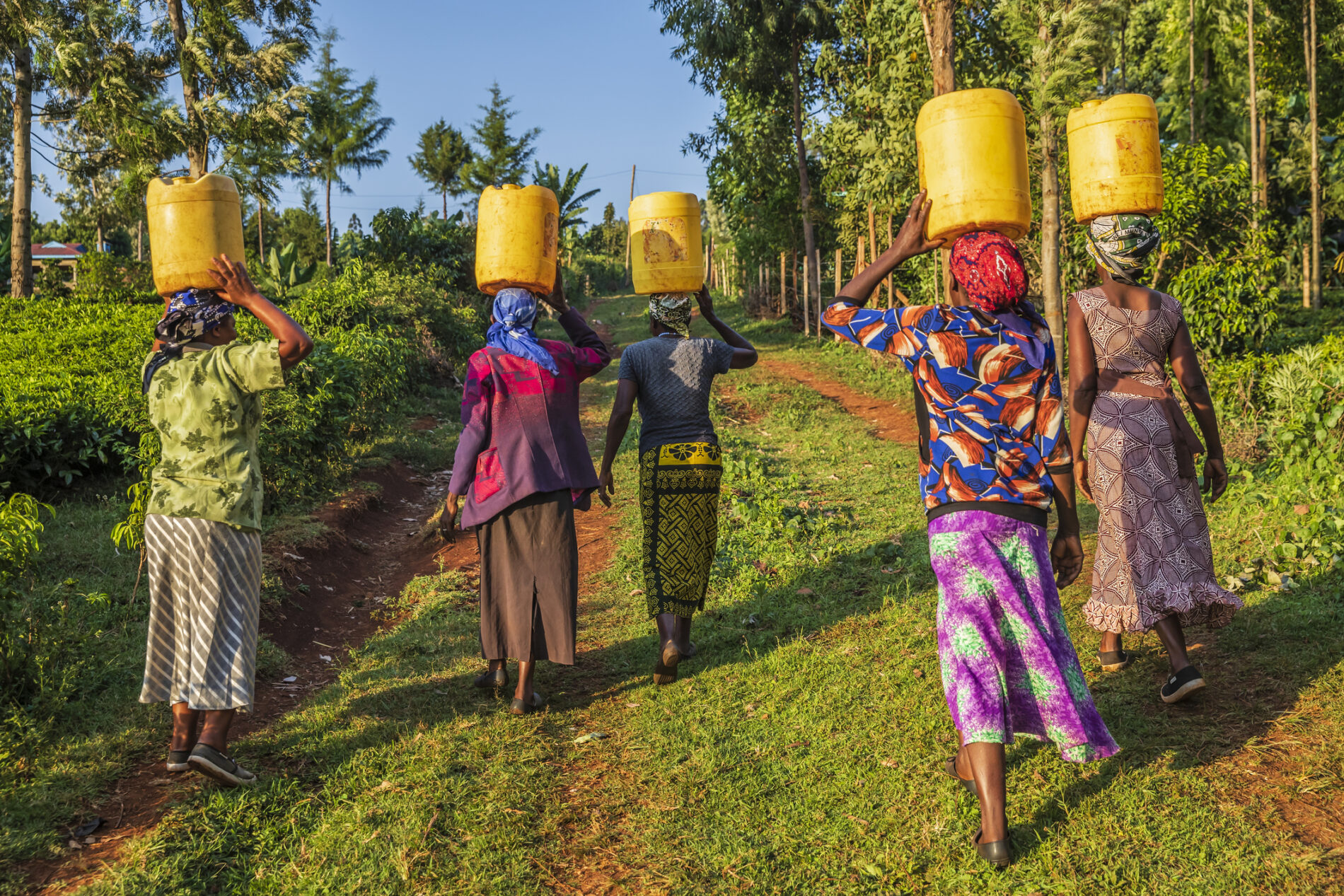 African women carrying water to their village, Kenya, Africa. African women and also children often walk long distances to bring back containers of water