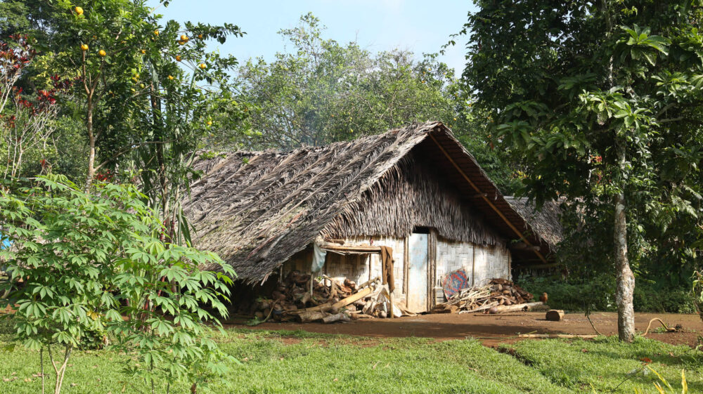 Thatched roof jungle bungalow surrounded by tropical forest, Vanuatu