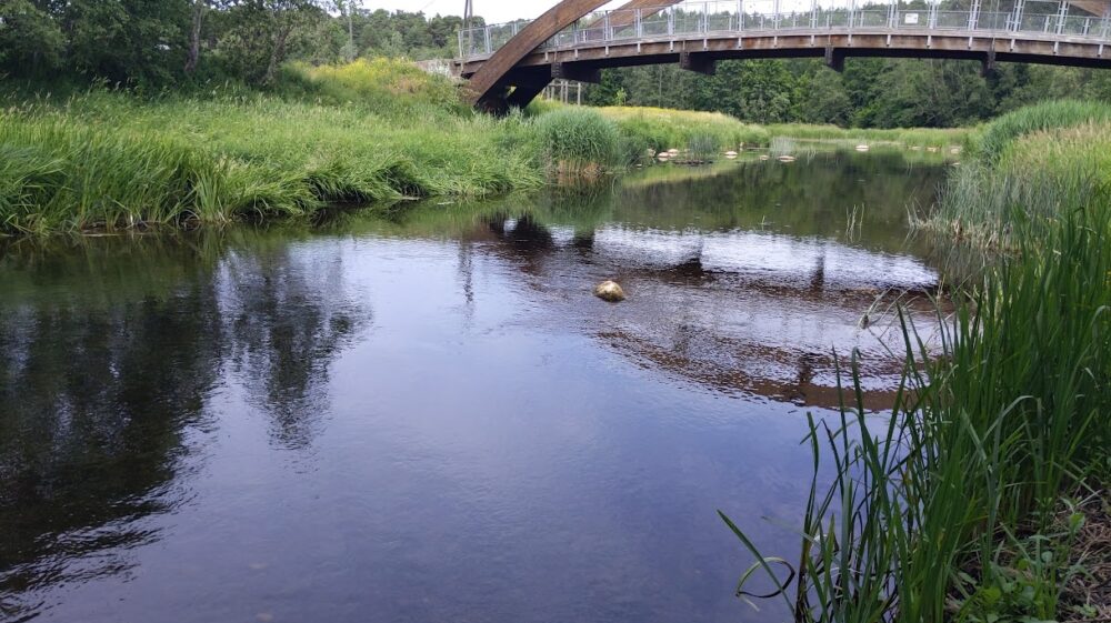 A river with lush green grass on each side and an arched bridge in the backgound.