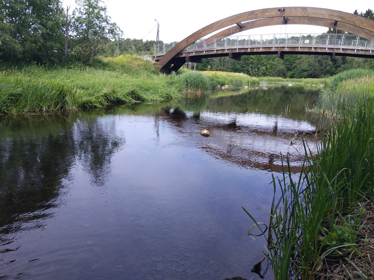 A river with lush green grass on each side and an arched bridge in the backgound.