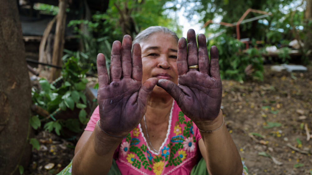 Woman showing her hands covered in the natural colour obtained from the barks of the community forest.