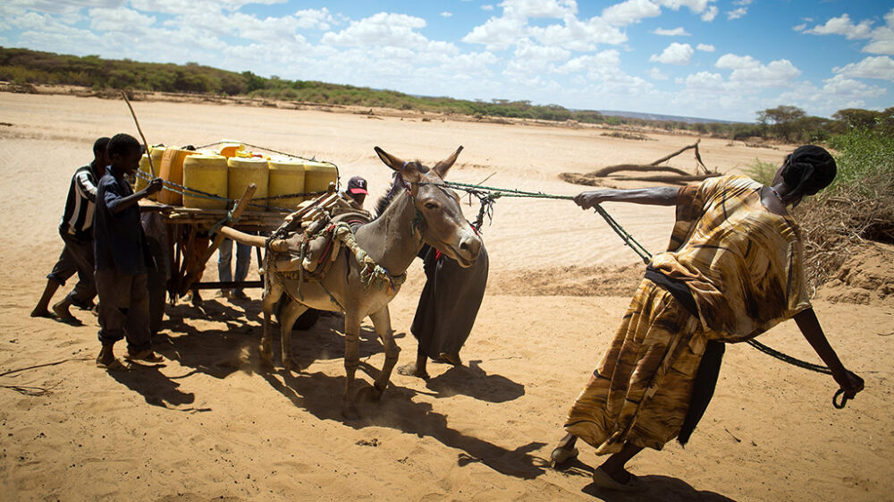 Pastoralists living in the Ewaso Ngiro river basin in central Kenya are digging for water