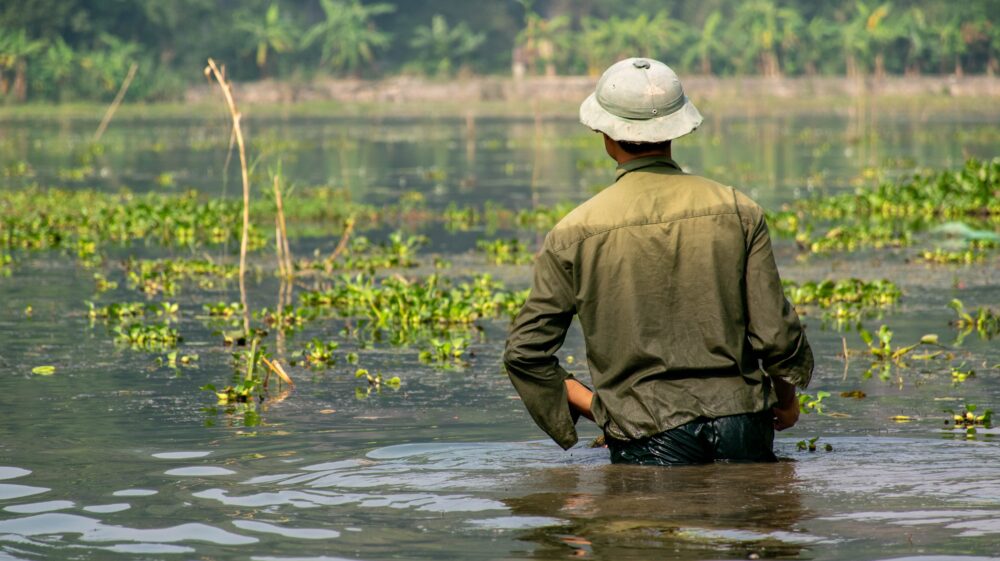 Back view of man wearing fisherman hat hip-deep in lake, Ninh Binh, Viet Nam