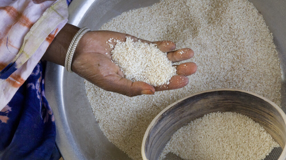 hand of a Black woman holding rice