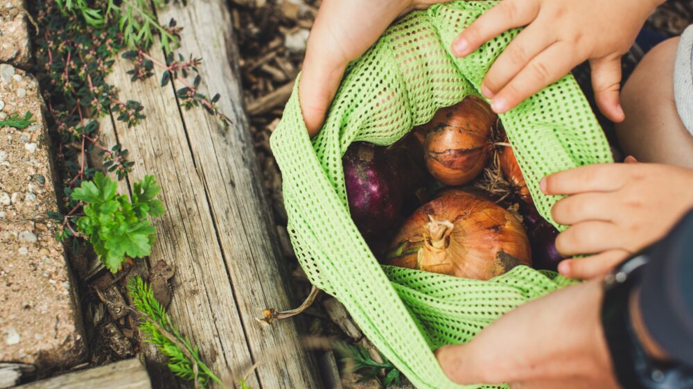 Hands bag food
