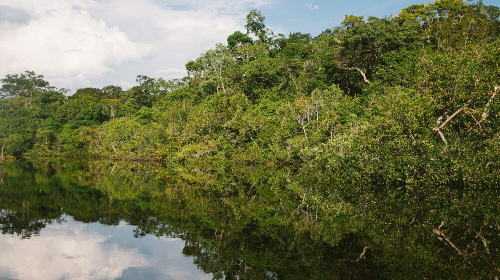 Amazonas rainforest river
