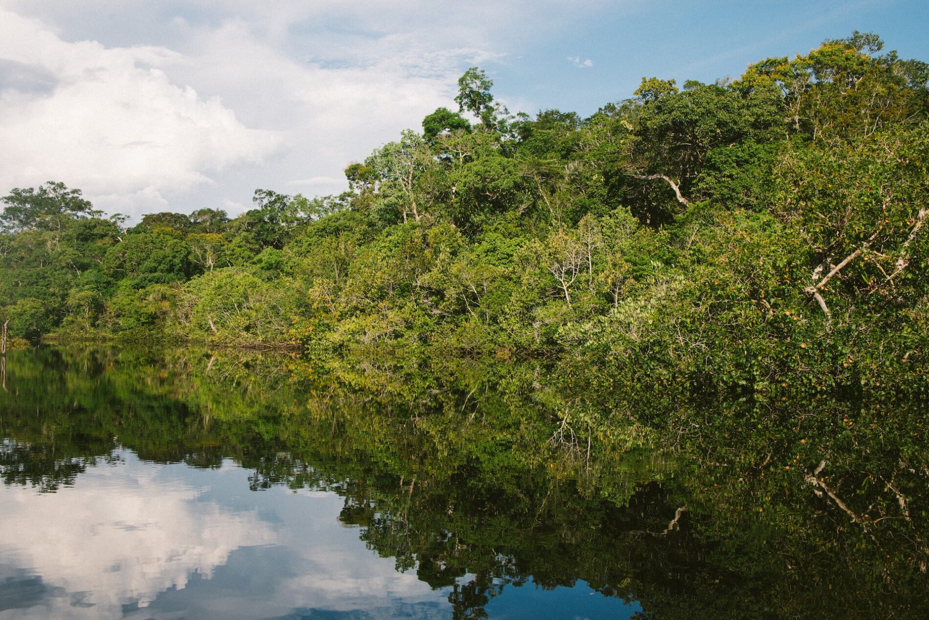Amazonas rainforest river
