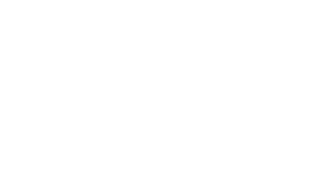 SEI logo white version