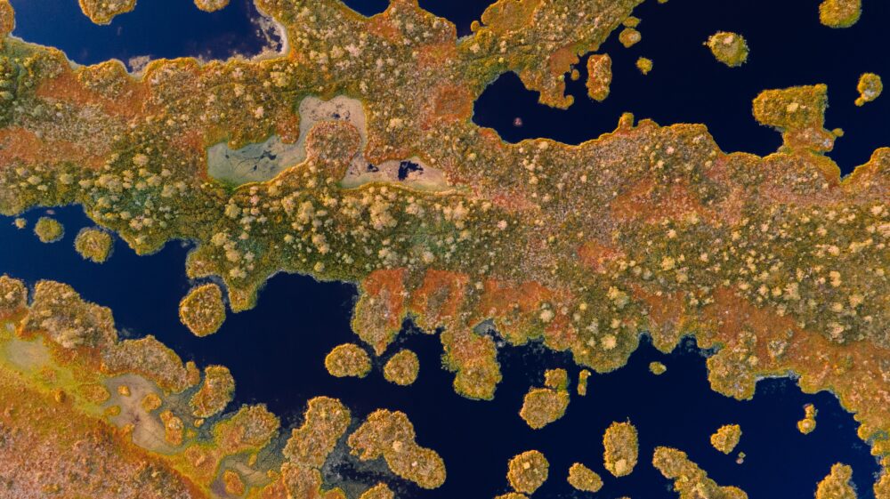 Aerial view of Keava raba, Ohekatku, Rapla County, Estonia