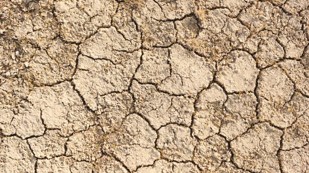 Cracked dry earth