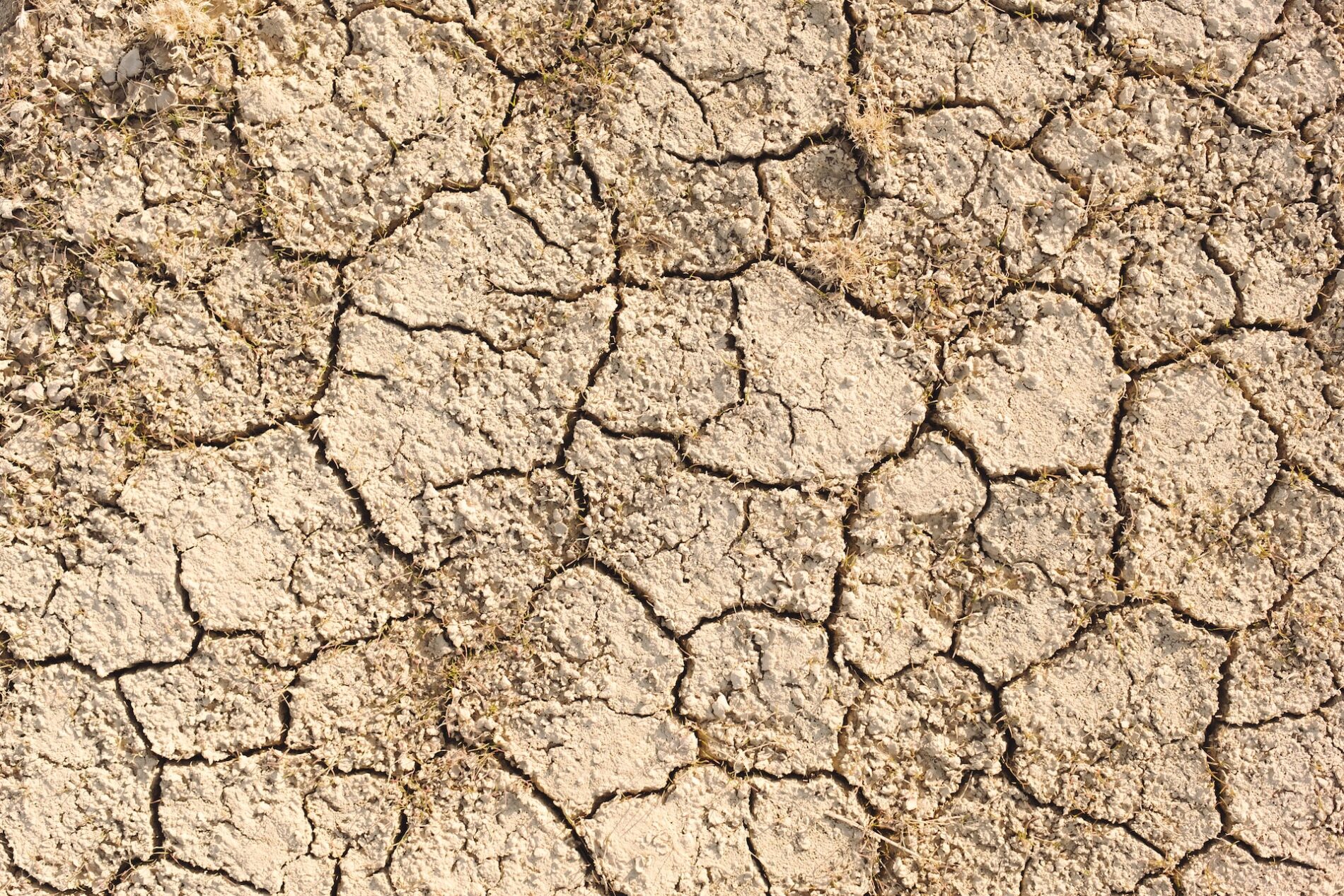 Cracked dry earth