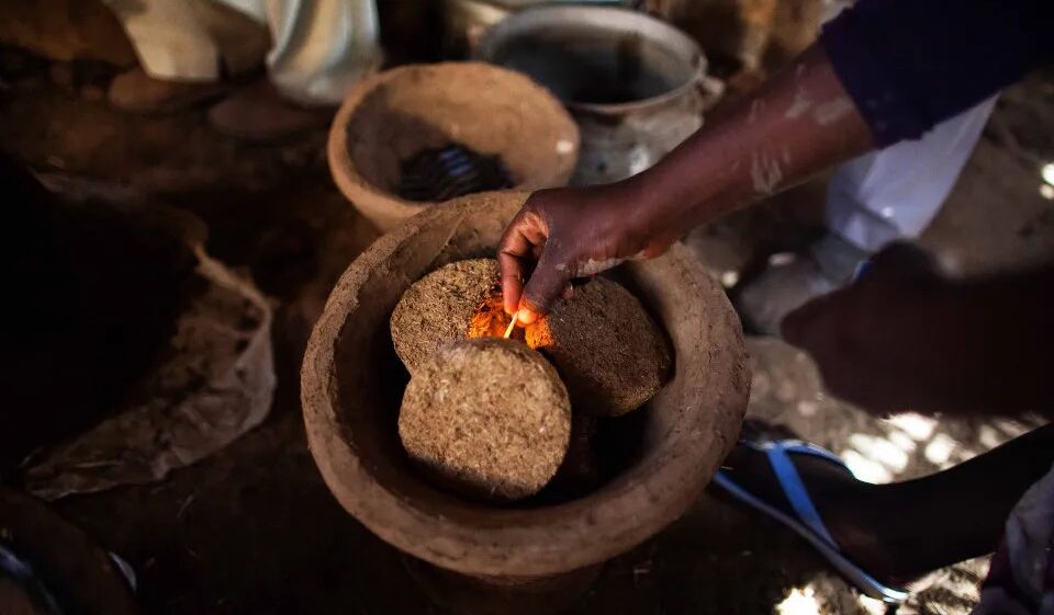 briquettes of dried animal dung for fuel pictured