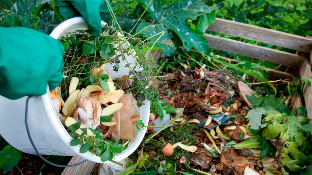 Organic waste, compost, compost heap, Germany, Europe