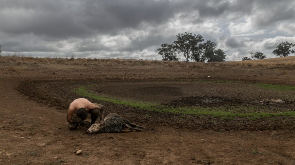 Drought man animal corpse