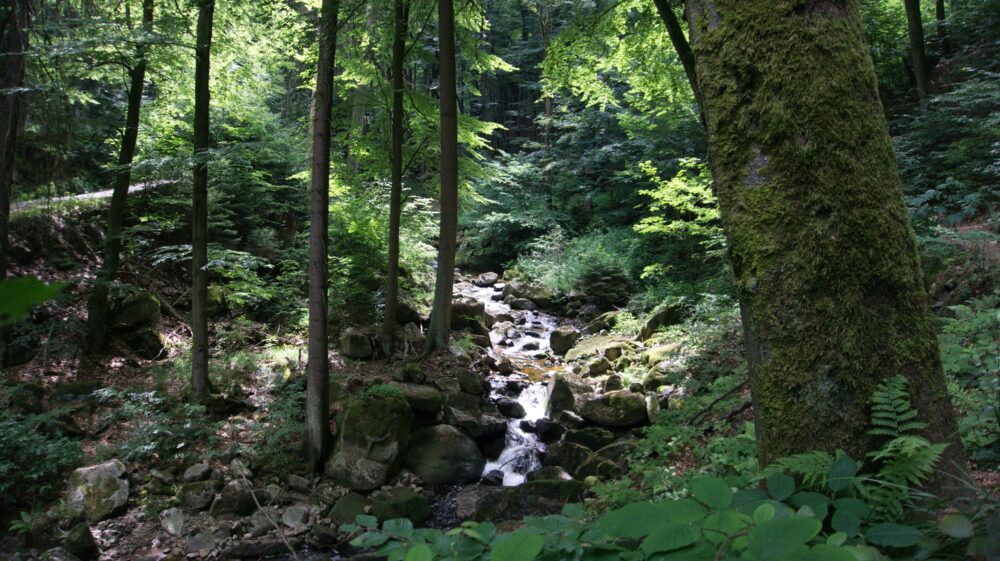 Obere Ilsefälle, Jagdweg, Ilsenburg (Harz), Deutschland