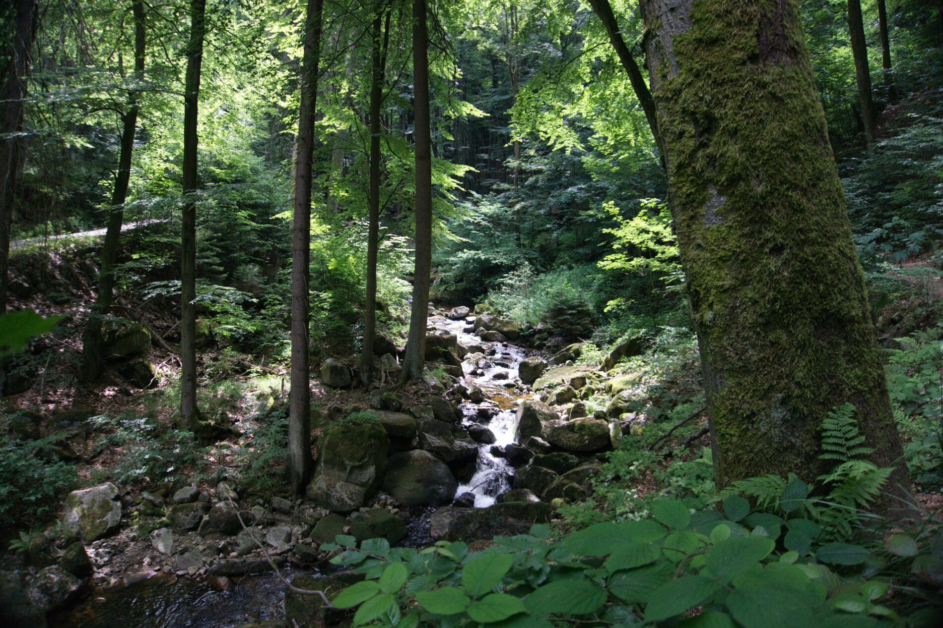 Obere Ilsefälle, Jagdweg, Ilsenburg (Harz), Deutschland